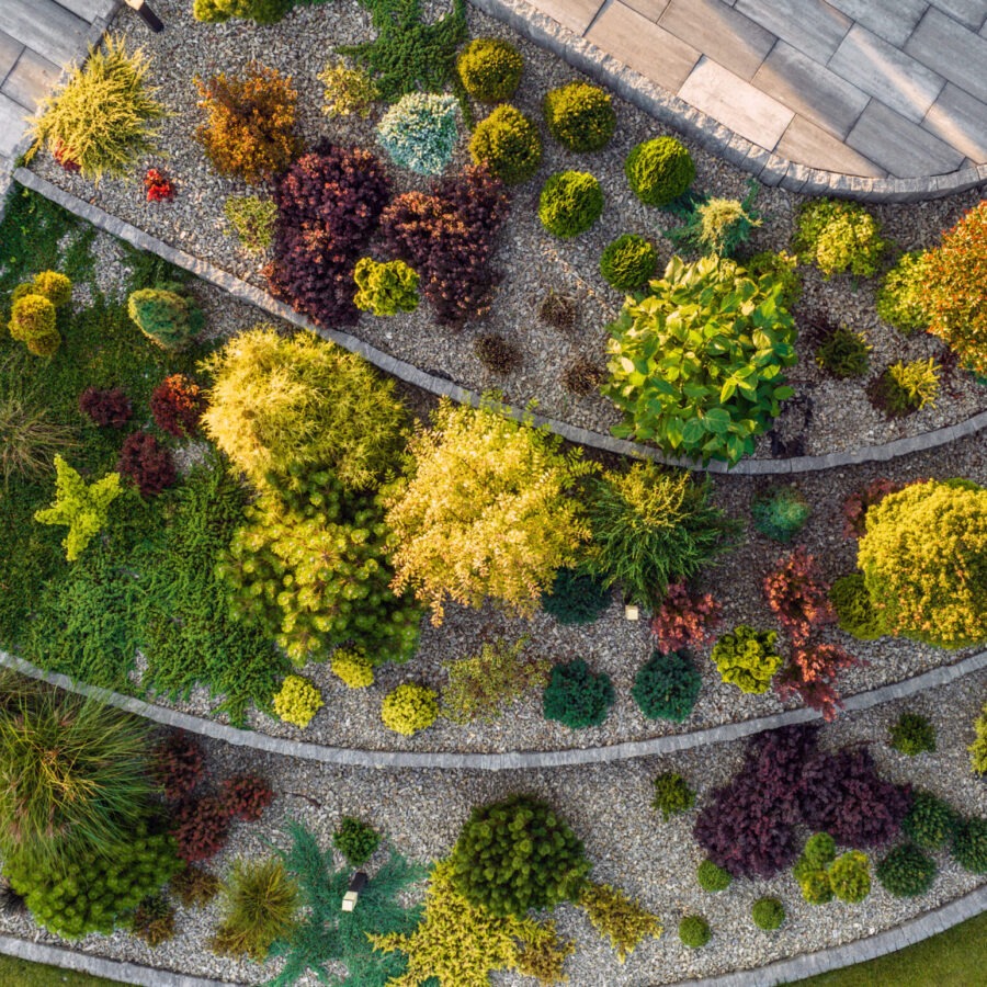 Landscape design services